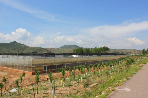 pc阳光板智能温室