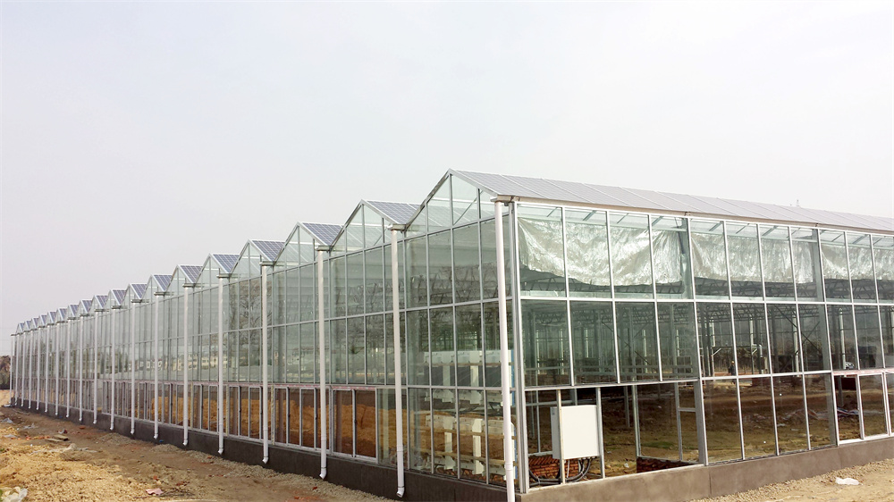 光伏温室